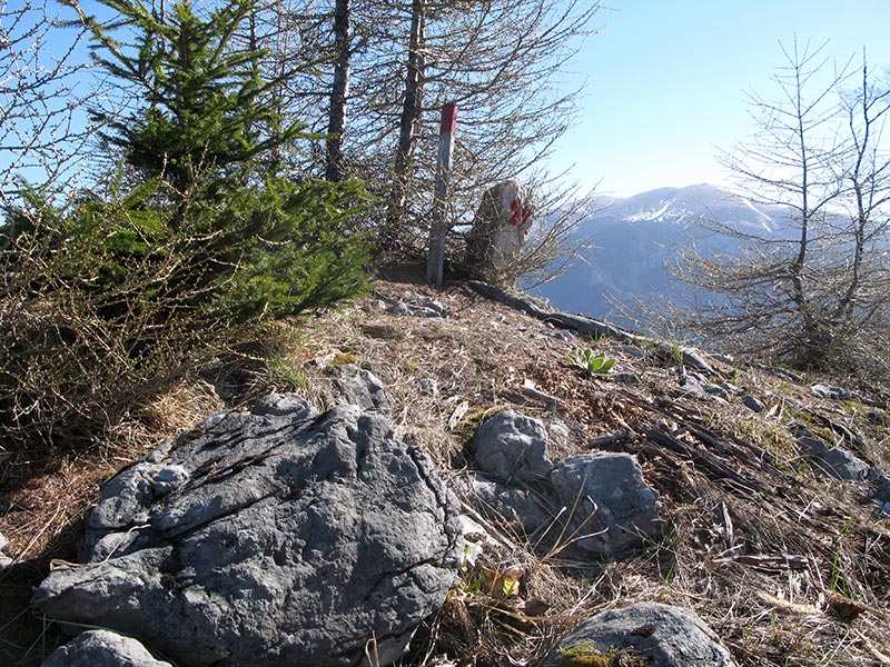 spielmannkogel